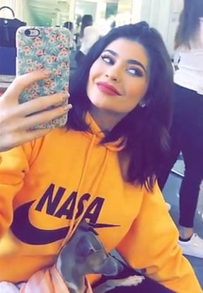 Kylie jenner champion on sale sweatshirt